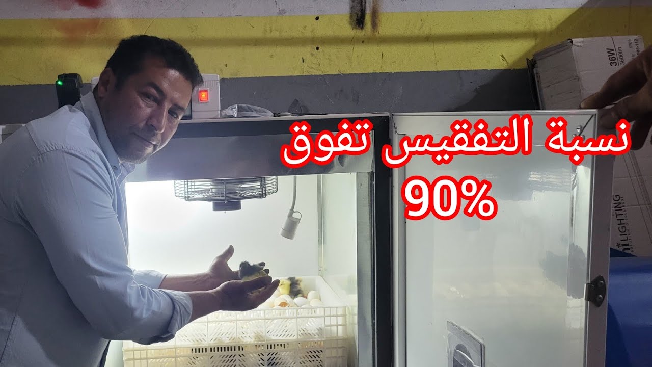 تفقيص البيض ، أحجام الفقاصات وطريقة الإستعمال مع ذكر الأتمنة