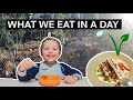 What our family eats in a day / Plant based