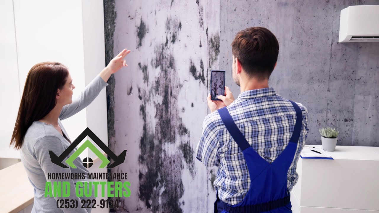 Home Maintenance Services