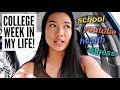 COLLEGE WEEK IN MY LIFE | How I Manage School, YouTube & Fitness!