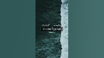 الآيات ١٩-٢٣ من سورة الرحمن ( الشيخ عبدالباسط عبدالصمد)