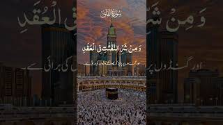Quran with Urdu Tarjuma | Complete Tilawat &amp; Easy Translation | Listen &amp; Understand the Quran
