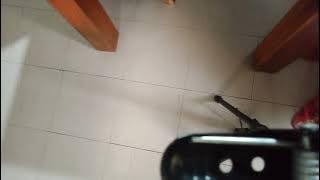 Aleluya (Alto) Delgado 3