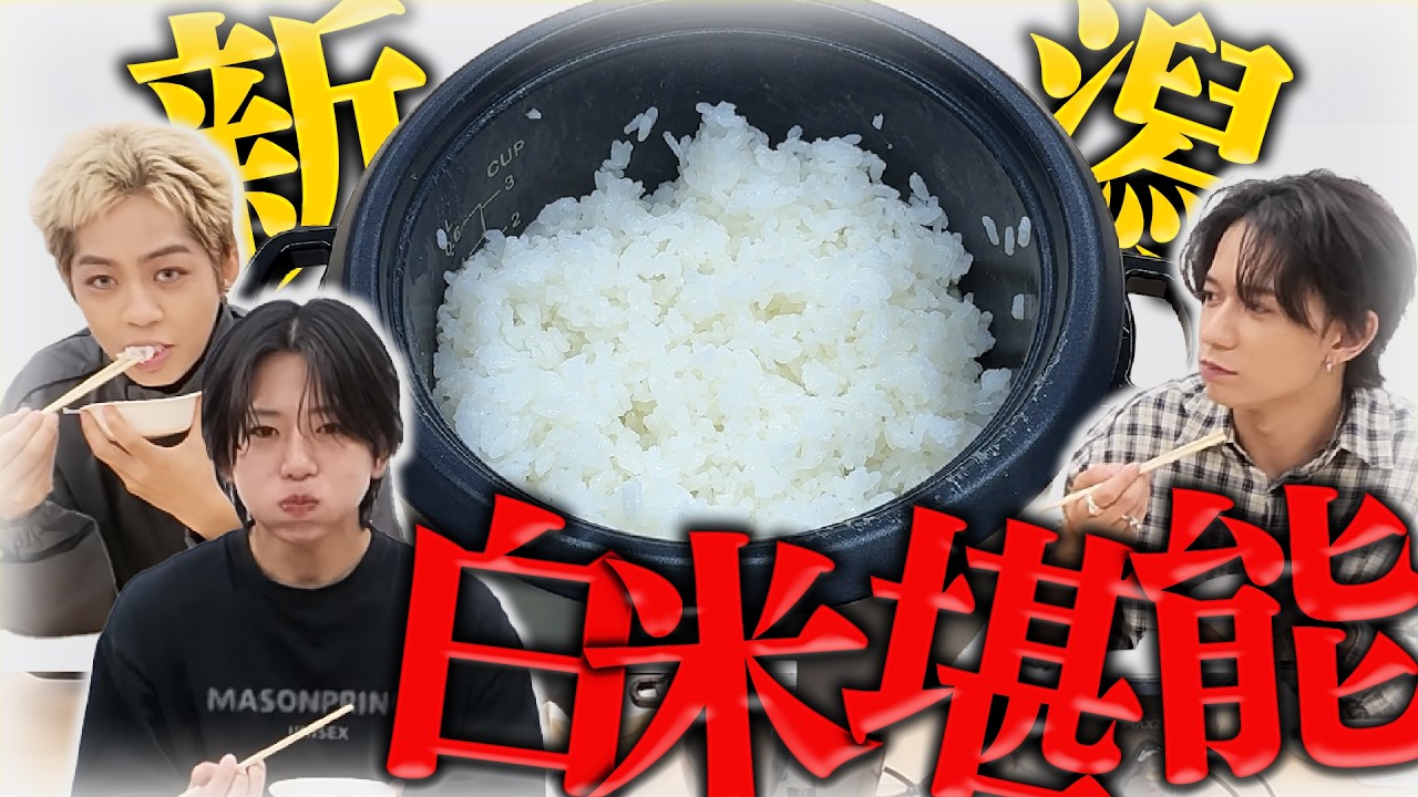 【腹18分目】日本が誇るコシヒカリを当てるべく食べ比べをしたら腹ちぎれるくらい食べるハメになったww