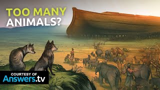 How Only Eight People Cared for All the Animals on Noah’s Ark