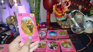 A pessoa que te fez mal já está quebrando a cara, justiça acontecendo!! ⚖️🐍💣