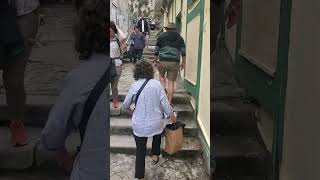 Ant People: Climbing"Los Escalara Cardio", Porto, Portugal.