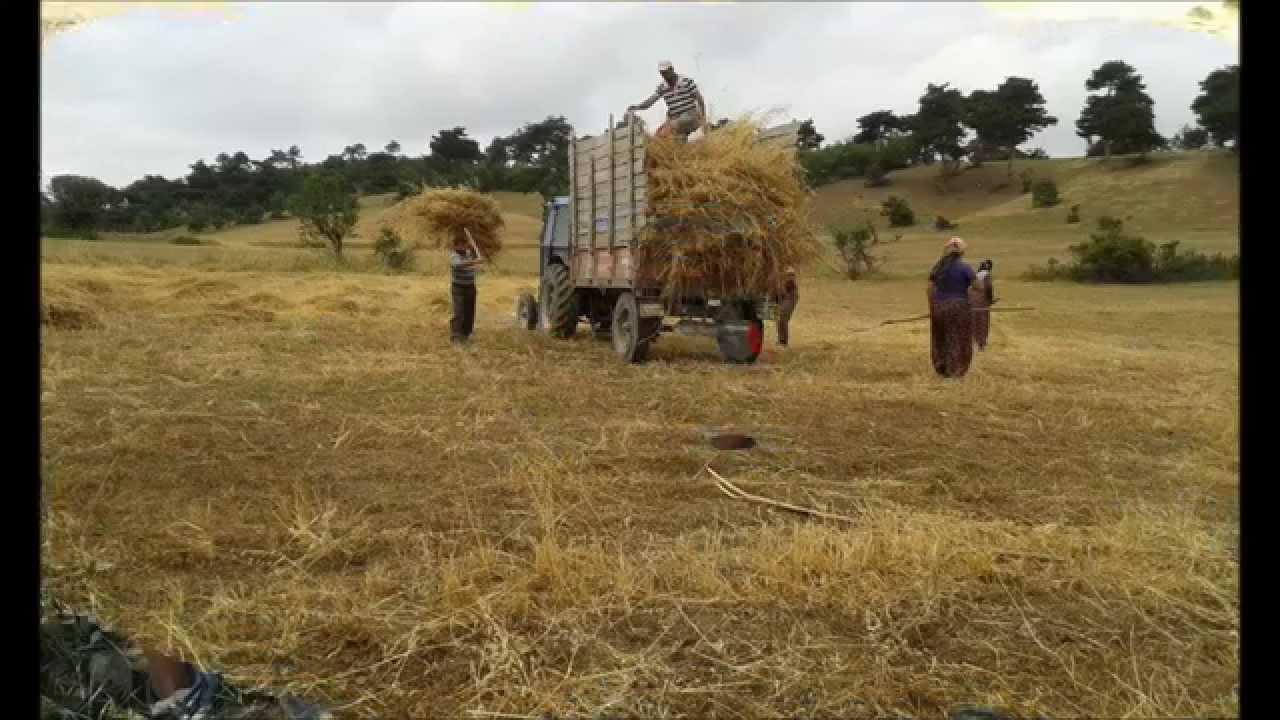 Amasya - Ardıçlar Köyü