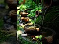 Bamboo Waterfall Indah #asmr #asmrindonesia #relax #trending #waterfallsounds