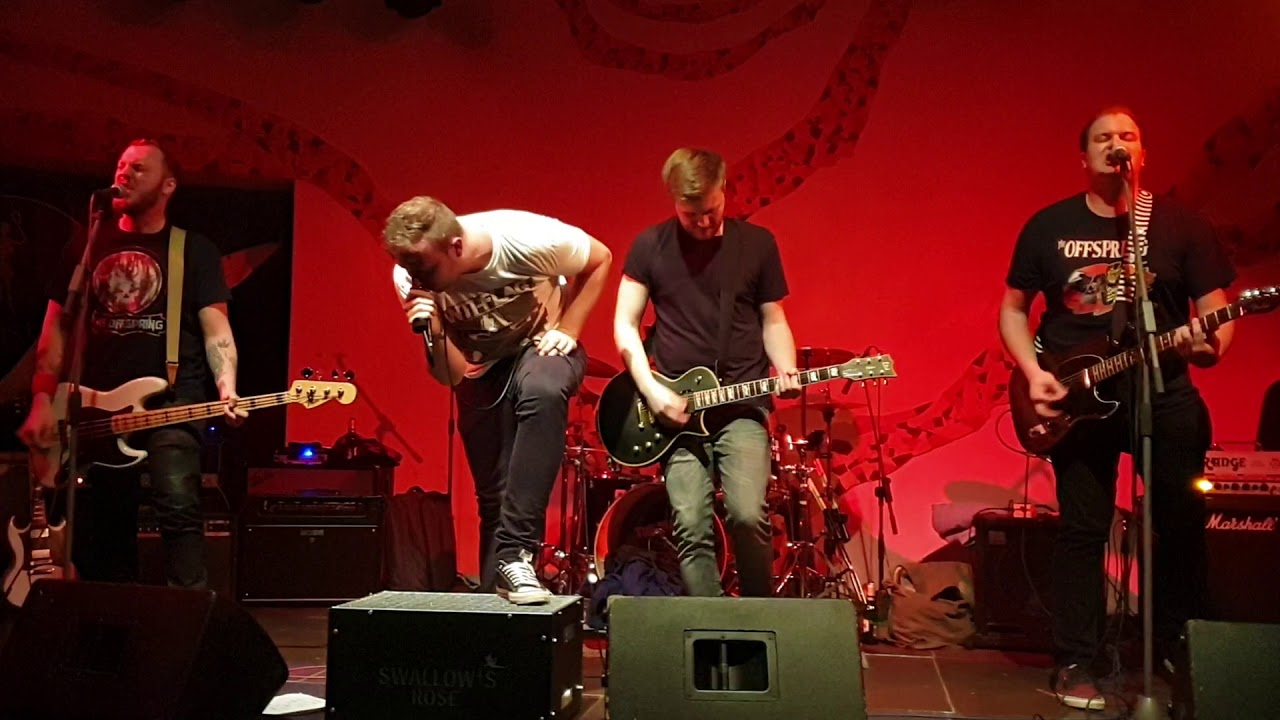 Swallow's Rose /6.3.2020 - Buena Vista Club/