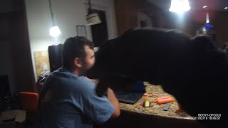 "I am the SECURITY here" (Armed Security bodycam) Profile