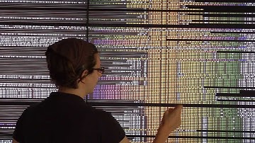 BactoGeNIE: Scalable Genome Visualization For Large, High Resolution Environments