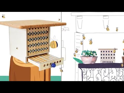 Chez les Dorloteurs d'Abeilles