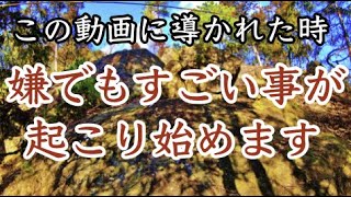 【石上布都魂神社神社参拝】10分で変化が始まる※見るだけで嫌でも良いことが起こり始める（Ishikami Futsumitama Shrine）#94