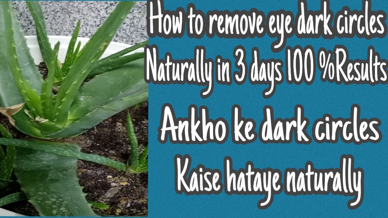 How to remove eye dark circles naturally in 3 days 100 Results ankho