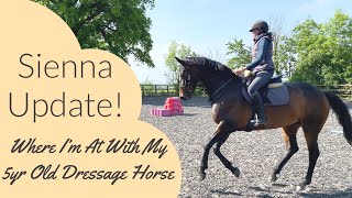 Sienna Update | What I’m Doing With My 5yr Old Dressage Horse | Equestrian Vlog Sienna Update | What I’m Doing With My 5yr Old Dressage Horse | Equestrian Vlog