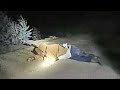 San Diego Deputy Shoots Man Armed With a Scoped Rifle