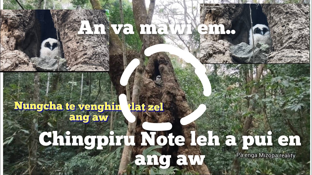 ,Chingpiru leh, Note i hmu tawh em?Mak reuh lutuk..an va mawi em..Nungcha te humhalh zel ang aw.