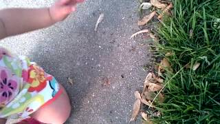 Squashing Ants In The Neighbors Driveway