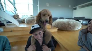 Dobre Brothers! We can't believe his wife did this