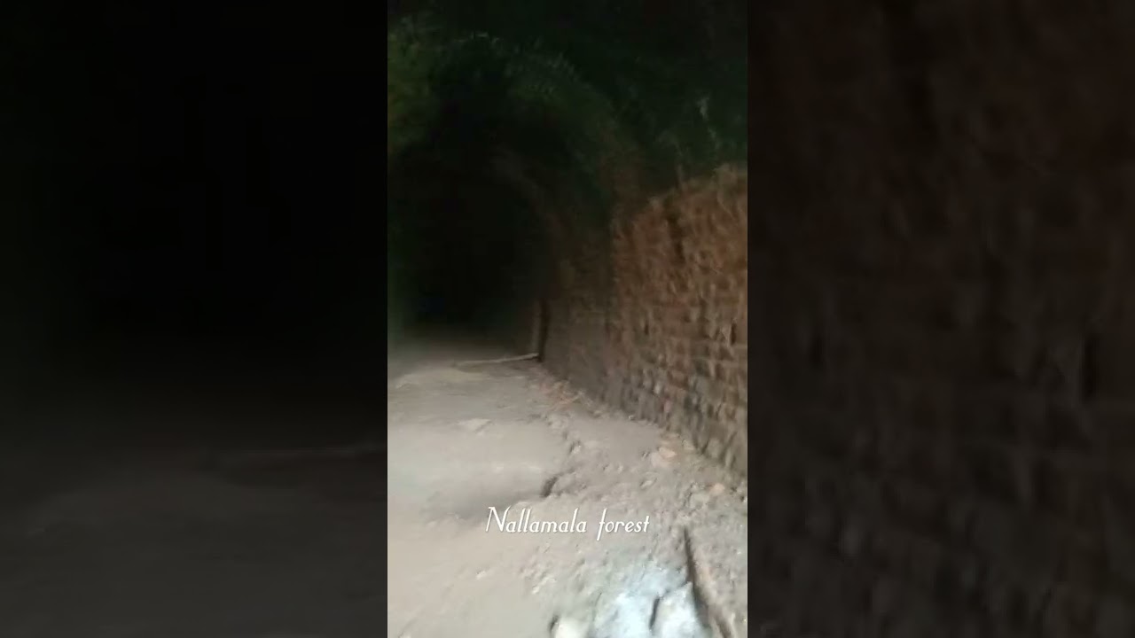 Nallamala rahasyalu😮😮 old railway Tunnel  giddalur to nandhyaala road
