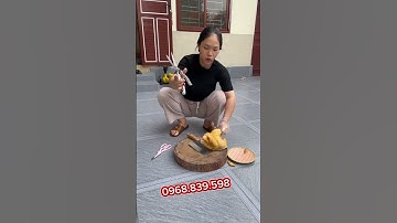 Kéo cắt gà cắt vịt đa năng