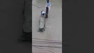 VID 20170718 WA0007