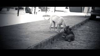 Comala English Version Short