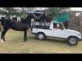 ब्रह्म लोक में मेरा अर्जुन माया ब्रमदेव व गाय 🐄 माता कैसे रहते है  🐎🐄🇮🇳😍🌎