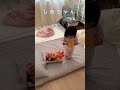 アンパンマン達をベットにぎゅうぎゅう詰めにして寝かせた1歳#shorts