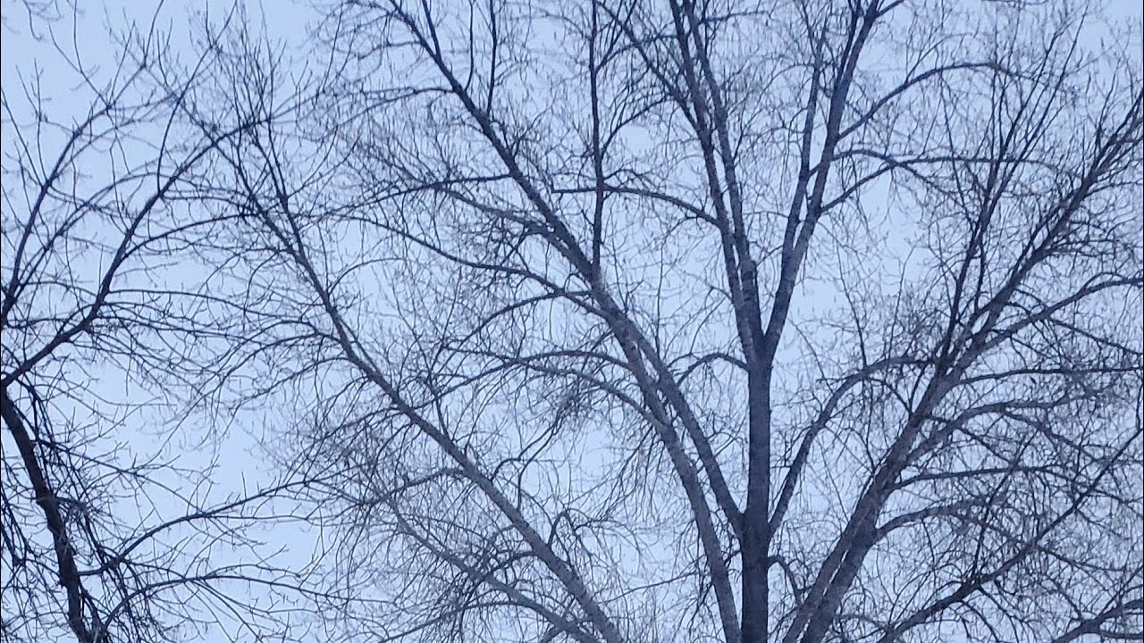 Night Street View 🇨🇦  Kaganda21 Vlog is live! #kaganda21vlog #streaming #live #livestream