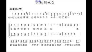 相约到永久/相約到永久 G调伴奏 - instrumental in G