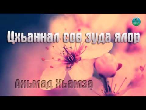 Цхьаннал сов зуда