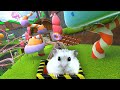 Hamster in roller coaster candyland  bonus maze