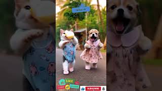 Download Lagu Dudi dudi dama dam 🍼🐕🦫  #shortsfeed #shorts MP3