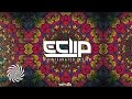 Eclip vs zen mechanics  sundowning