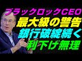 【米国株】最大級の警告！銀行破綻は続く！利下げもできない！世界最大の資産運用会社ブラックロックCEOラリーフィンク氏【レバナス、NASDAQ100、S&P500、投資、ナスダック、経済ニュース】