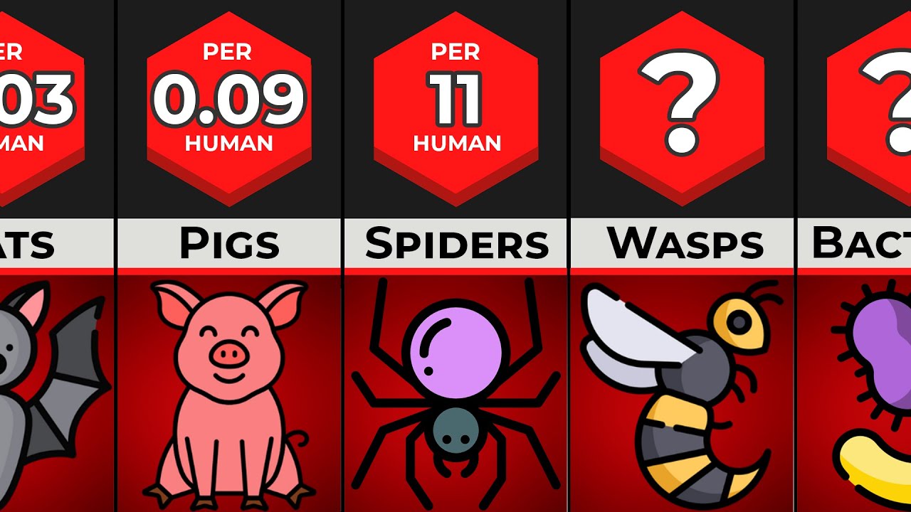 Comparison How Many Animals Are There Per Human Being YouTube
