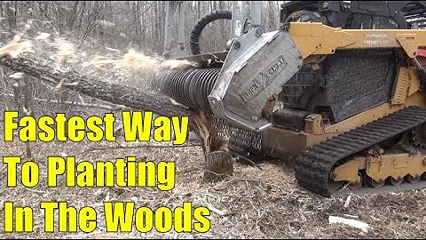 Creating Food Plots in the Woods With a Strategy for Seeing More Deer