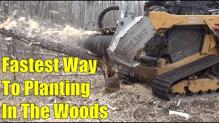 Creating Food Plots in the Woods With a Strategy for Seeing More Deer