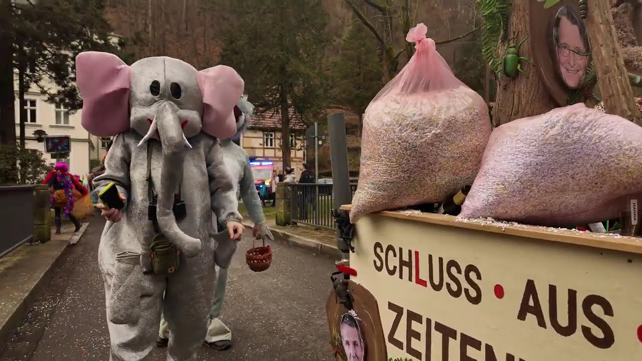 Karneval🎊Umzug 10.02.2024 Bad Schandau Kurpark  (SD) (HD) (4K)