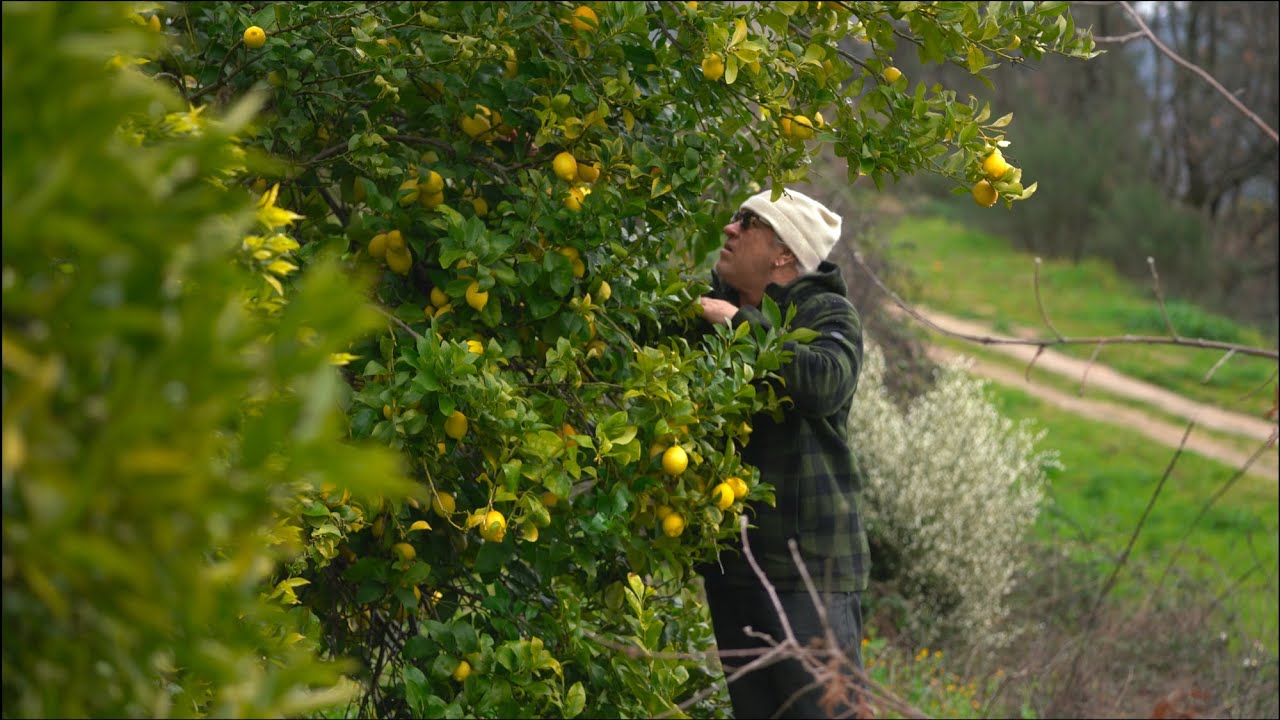 Picture of 9 Data-Driven Tips to Survive Low-Sun Winters Off-Grid