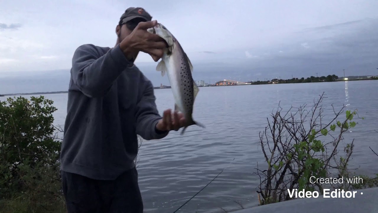 INSANE, Top Water Action/ Sea Trout Fishing! YouTube