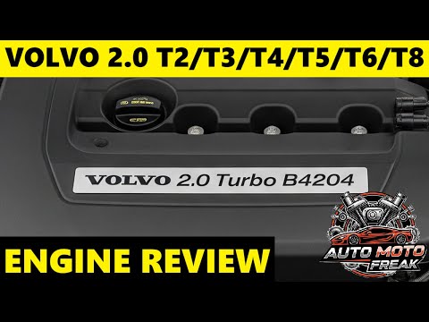 Tamrox Automotive Reviews