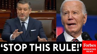 JUST IN: Ted Cruz Absolutely Unloads On Democrats Over Biden Gas Furnace Rule