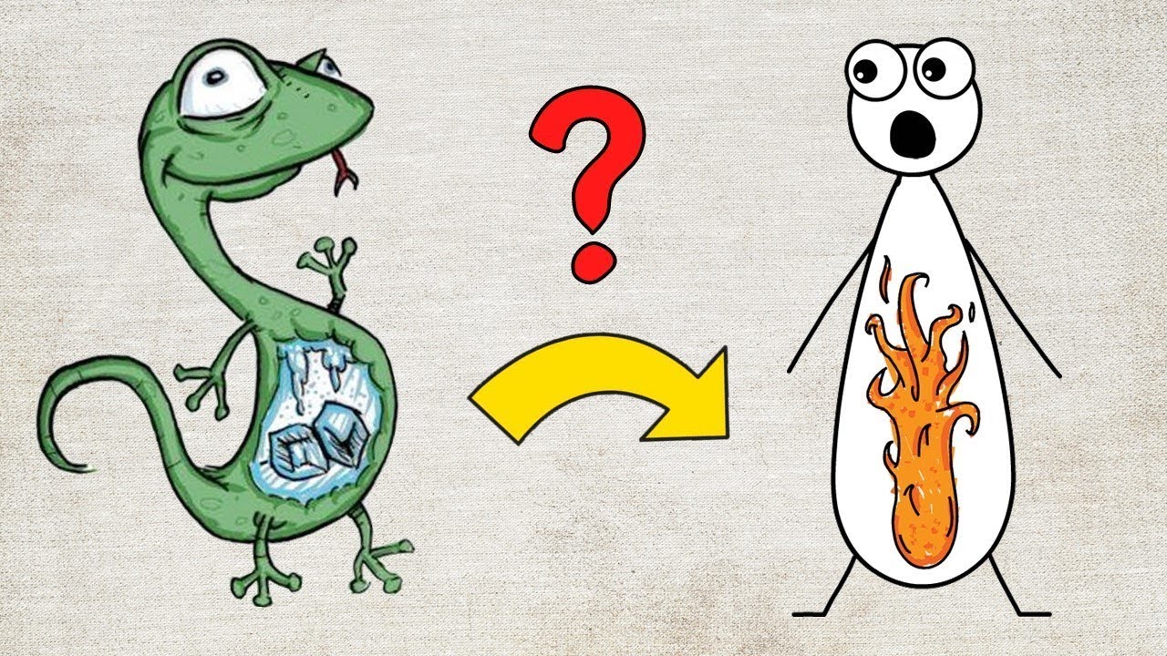 なぜ人間は温血(？)動物に進化したのか？