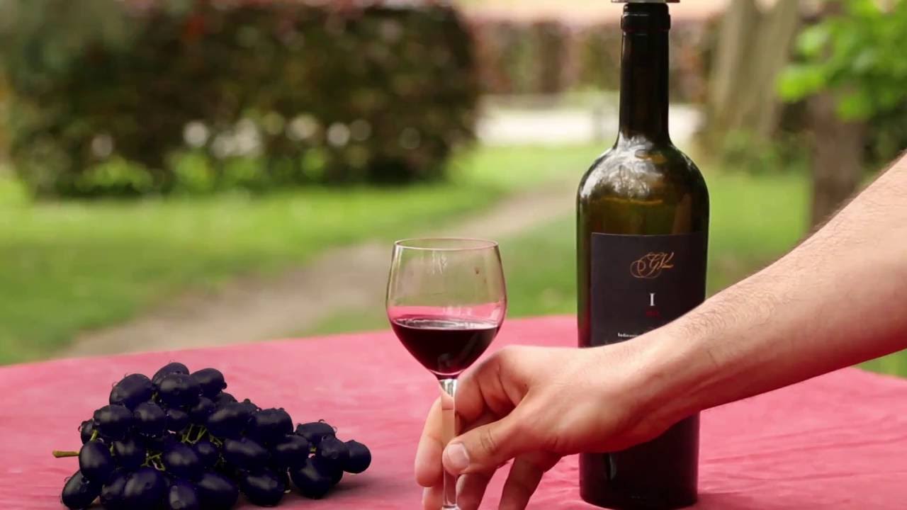 Pure Wine - Non commercial advertisement + Breakdown