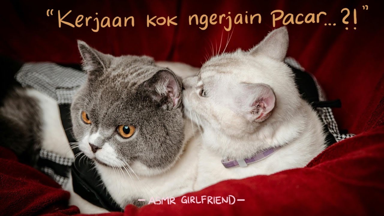 Bersama Kamu, Pacar yang Gemesin! | ASMR Roleplay Indonesia [F4M] [Act cute] [Touchy]