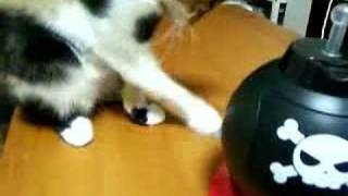 貯金爆弾with三毛猫記者　その１