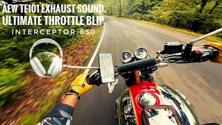 AEW Te101 Exhaust Sound 🔊 | Thorttle Blip 🔥 | Interceptor 650 @royalenfield 